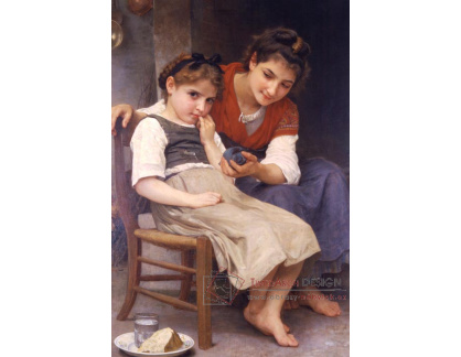 R15-126 Adolph William Bouguereau - Mrzutá