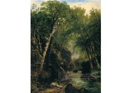 VU153 John Frederick Kensett - Rybář lovící pstruhy
