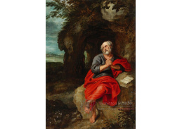 DDSO-2107 Simon de Vos - Krajina s apoštolem Petrem v modlitbě