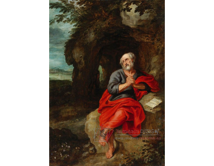 DDSO-2107 Simon de Vos - Krajina s apoštolem Petrem v modlitbě