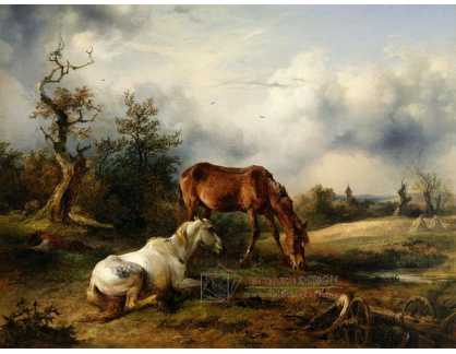 SO III-56 Friedrich Gauermann - Dva koně na pastvině