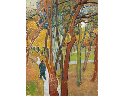 A-3247 Vincent van Gogh - Zahrada nemocnice Saint-Paul
