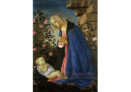 A-89 Sandro Botticelli - Madonna zbožňující spící dítě