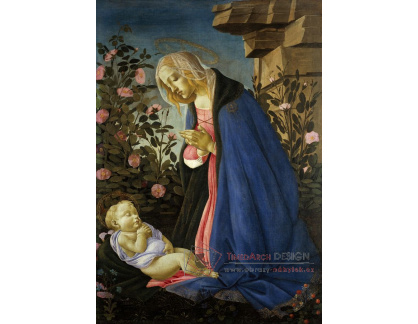 A-89 Sandro Botticelli - Madonna zbožňující spící dítě