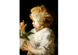 VRU54 Peter Paul Rubens - Chlapec s ptákem