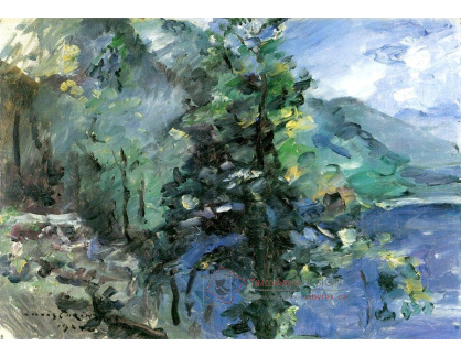 VLC 112 Lovis Corinth - Walchensee