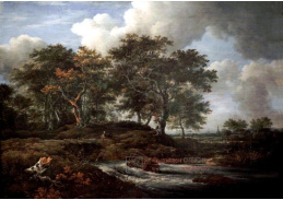VSO 1142 Jacob Isaacksz van Ruisdael - Duby u řeky
