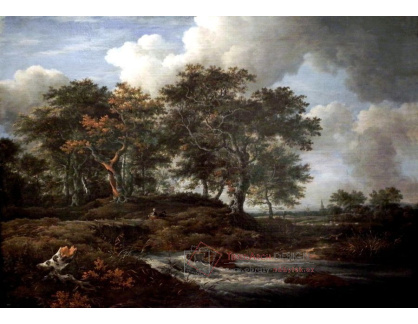 VSO 1142 Jacob Isaacksz van Ruisdael - Duby u řeky