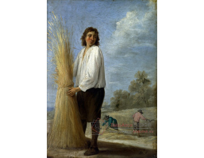 XV-388 David Teniers - Léto