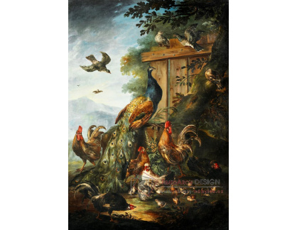 A-2815 Giovanni Crivelli - Páv, kohouti, slepice a další ptáci v krajině