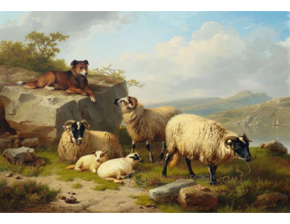 DDSO-3348 Eugene Joseph Verboeckhoven - Ovce s pastýřem v krajině