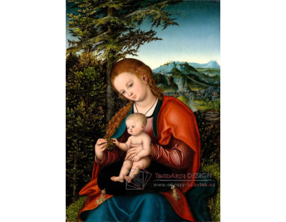 VlCR-130 Lucas Cranach - Madonna s dítětem