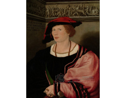 PORT-233 Hans Holbein - Benedikt von Hertenstein