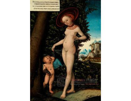 VlCR-64 Lucas Cranach - Amor a Venuše