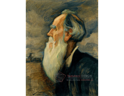 VR-520 Leonid Pasternak - Portrét Lva Nikolajeviče Tolstoje