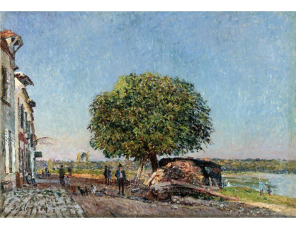 SO XVI-116 Alfred Sisley - Kaštan v Saint Mammes