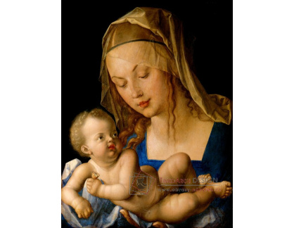 VR12-12 Albrecht Dürer - Marie s dítětem