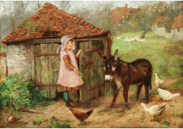 DDSO-1560 Edgar Bundy - Malý osel