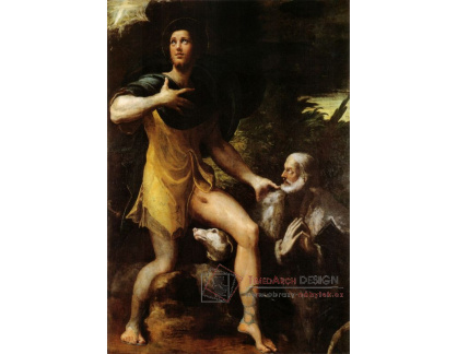 SO VII-231 Parmigianino - Svatý Rocco a dárce