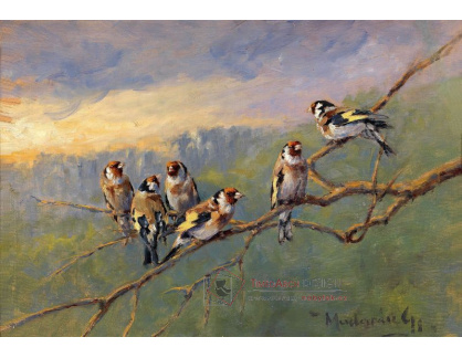 SO VI-175 Gyula Madarasz - Ptáci sedící na větvi