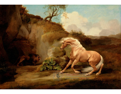 SO X-437 George Stubbs - Kůň který se děsí lva