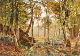 A-7407 Heinrich Böhmer - Ráno v září