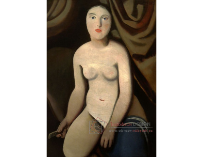 D-8556 Rudolf Kremlička - Před zrcadlem