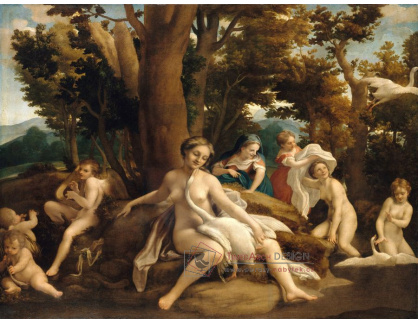 VSO 338 Antonio da Correggio - Leda a labuť