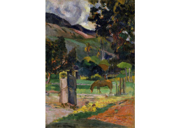 VPG 63 Paul Gauguin - Krajina Tahiti