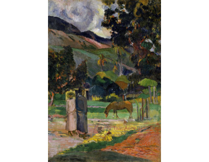 VPG 63 Paul Gauguin - Krajina Tahiti