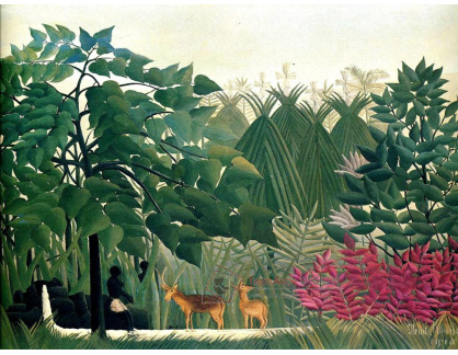 VF63 Henri Rousseau - Vodopád