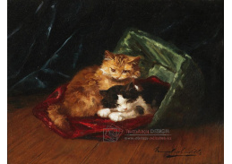 DDSO-1349 Alfred de Neuville - Koťata v koši