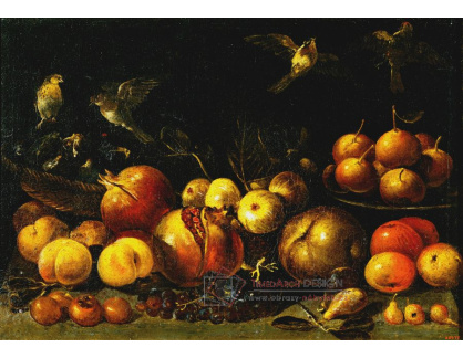 SO XIV-202 Tommaso Realfonso - Zátiší s ovocem a ptáky