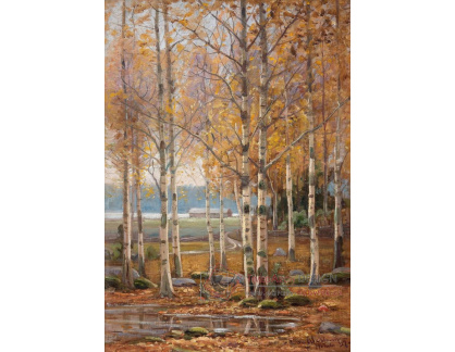 XV-464 Edward Westman - Břízy na podzim