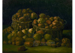 A-3182 Vincent van Gogh - Koše brambor