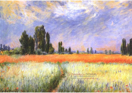 VCM 54 Claude Monet - Pšeničné pole