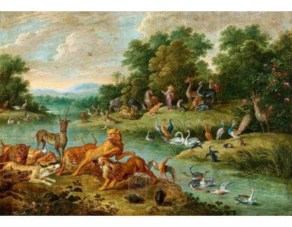 D-9492 Jan van Kessel - Krajina ráje se stvořením zvířat
