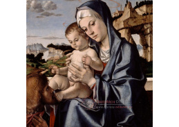 SO XII-470 Bartolomeo Montagna - Panna a dítě se svatým