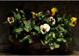 A-5375 Henri Fantin-Latour - Zátiší s maceškami