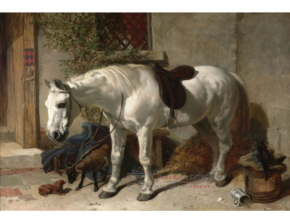 SO VI-177 John Frederick Herring - Bílý kůň