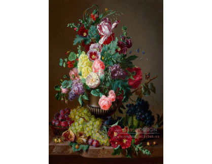 DDSO-4363 Amalie Kaercher - Zátiší s květinami a ovocem