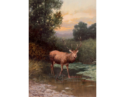A-5762 Josef F. Benesch - Pozorný jelen u rybníka