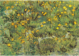 A-13 Vincent van Gogh - Pole se žlutými květinami