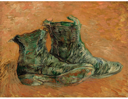 VR2-118 Vincent van Gogh - Jeden pár bot