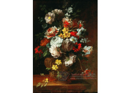 DDSO-4384 Francesco Volo - Zátiší s květinami