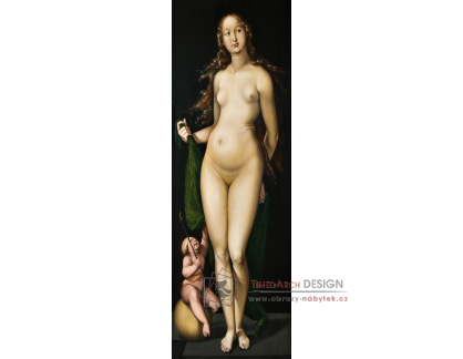 DDSO-2506 Hans Baldung - Amor a Venuše