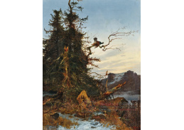 A-8044 Josef Krieger - Namlouvání tetřeva v ranním světle