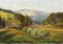 DDSO-4894 Conrad Petrides - Pohled na alpské pastviny