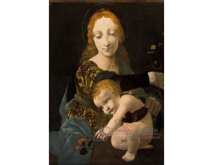 DDSO-2694 Giovanni Antonio Boltraffio - Madonna s dítětem