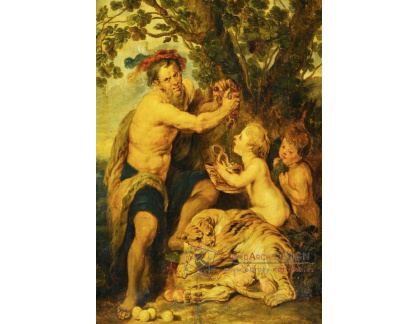 DDSO-2091 Peter Paul Rubens - Muž s vodou a tygr